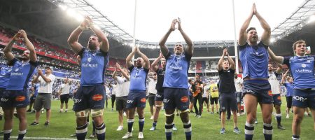 Les joueurs du Castres Olympique célèbrent la victoire